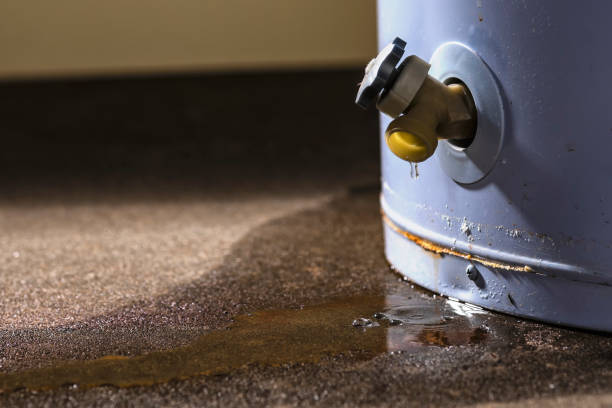 Best Flood restoration services  in Lakeview, MI