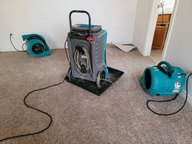 24/7 water damage repair in Lakeview, MI