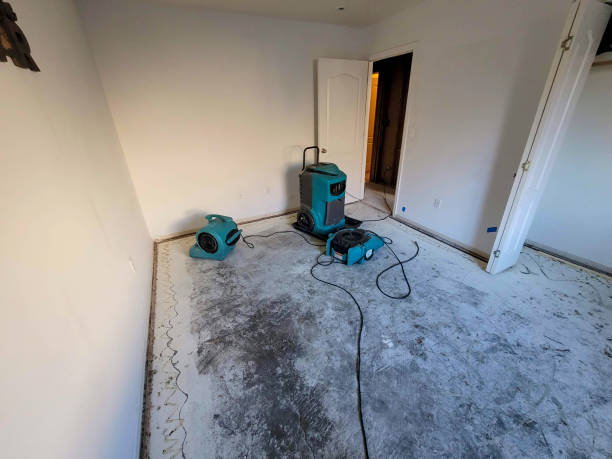Professional Water damage restoration in Lakeview, MI