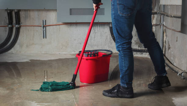 Best Commercial water damage restoration  in Lakeview, MI