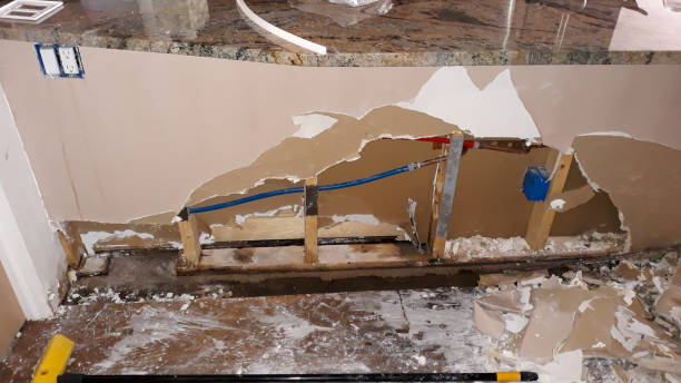 Best Carpet water damage restoration  in Lakeview, MI
