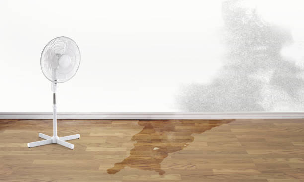 Best Water damage restoration near me  in Lakeview, MI