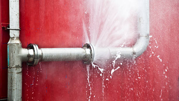 Best Professional water damage repair  in Lakeview, MI
